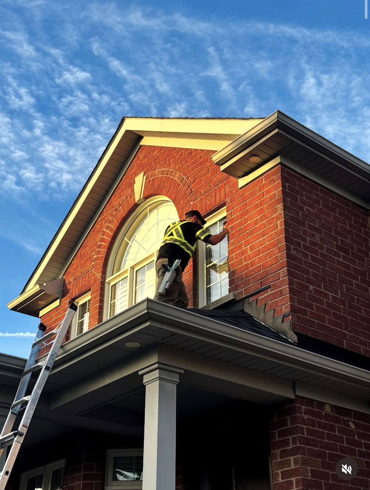 Professional window cleaning service